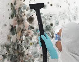 Best Mold Documentation for Insurance Claims in USA